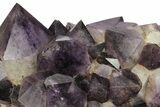 Deep Purple Amethyst Crystal Cluster With Huge Crystals #250744-4